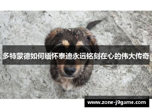 多特蒙德如何缅怀泰迪永远铭刻在心的伟大传奇 多特蒙德如何缅怀泰迪永远铭刻在心的伟大传奇